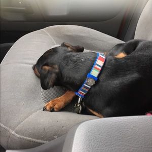 Meet your Posher, Marla